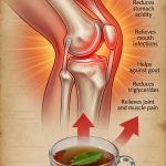 Bay Laurel Tea: Benefits and How to Prepare It